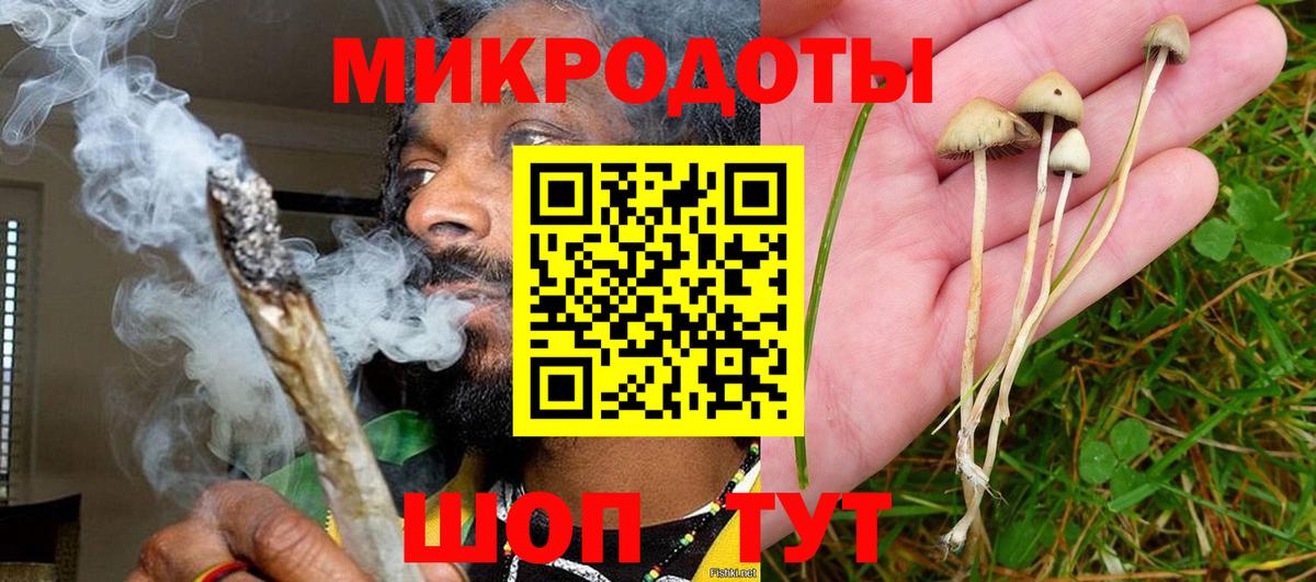 Красноармейск  Галлюциногенные грибы Cubensis  Галлюциногенные грибы Cubensis  Вход с VPN 